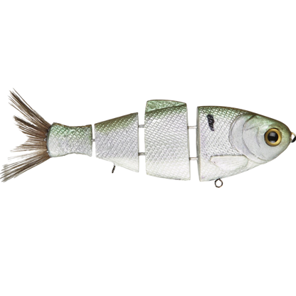 Bull Shad Slow Sink