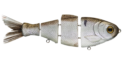 Bull Shad Slow Sink