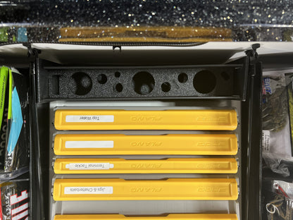 NPDPH0034 PHOENIX 818 PRO XP DYE TRAY